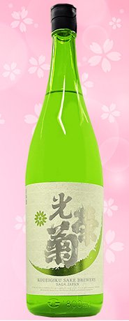 光栄菊　アナスタシアグリーン